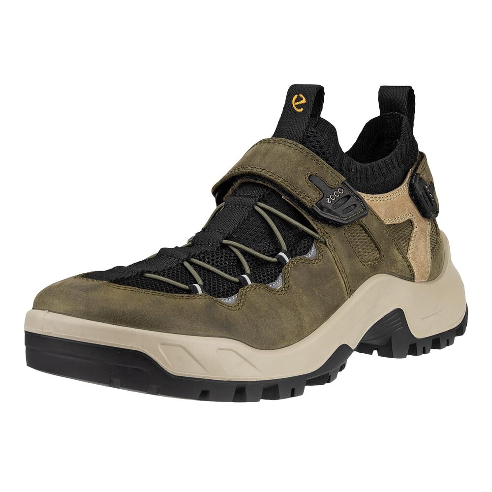 ECCO MEN'S OFFROAD EXPLORER TWO STRAP HIKING SHOE, GRAPE LEAF/BLACK/SAGE, 12-12.